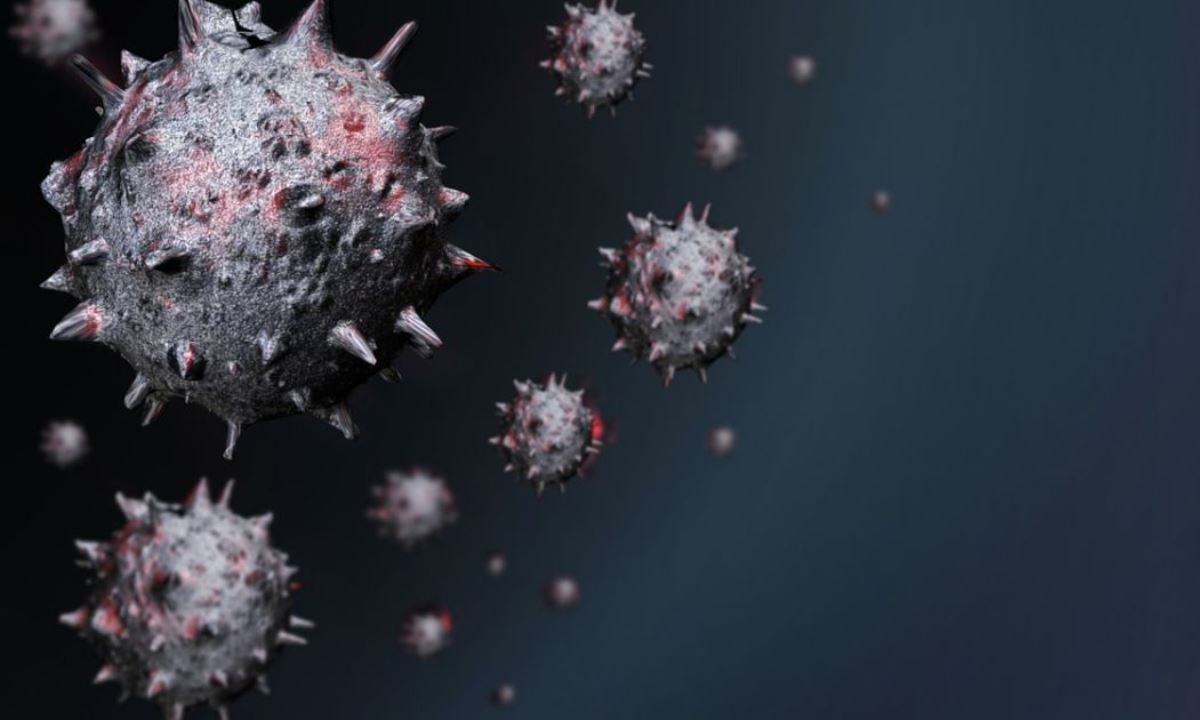 Почти без шансов — какие вирусы считаются самыми смертоносными в мире