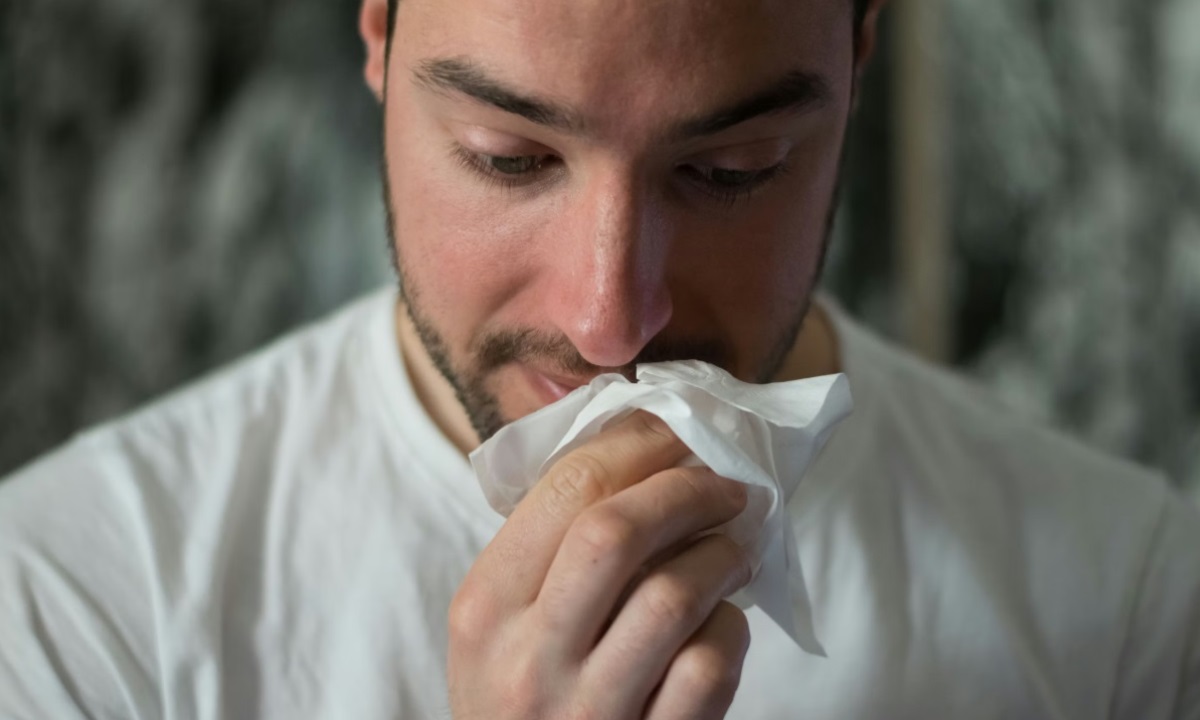 Насморк по цвету — о чём сигнализируют прозрачные, жёлтые и зелёные выделения