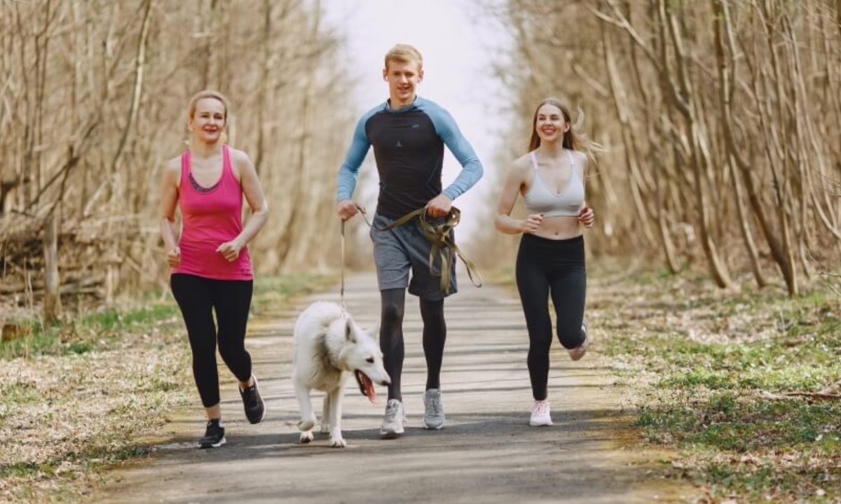 Прогулка с собакой как фитнес — как прокачать тело и мозг без спортзала