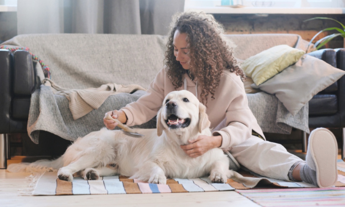 Как уменьшить весеннюю линьку собак