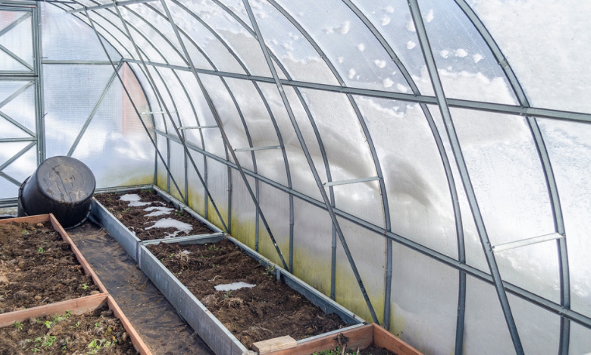 Как подготовить теплицу к весне