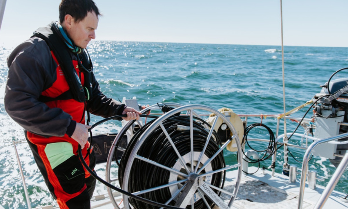 Таинственный голос из глубин раскрыт — ученые нашли редчайшего кита
