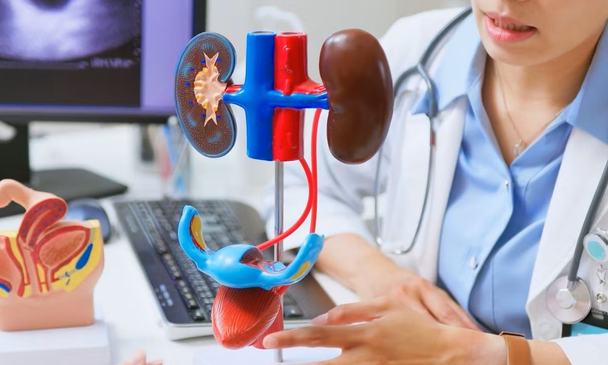 Что может привести к снижению функции почек