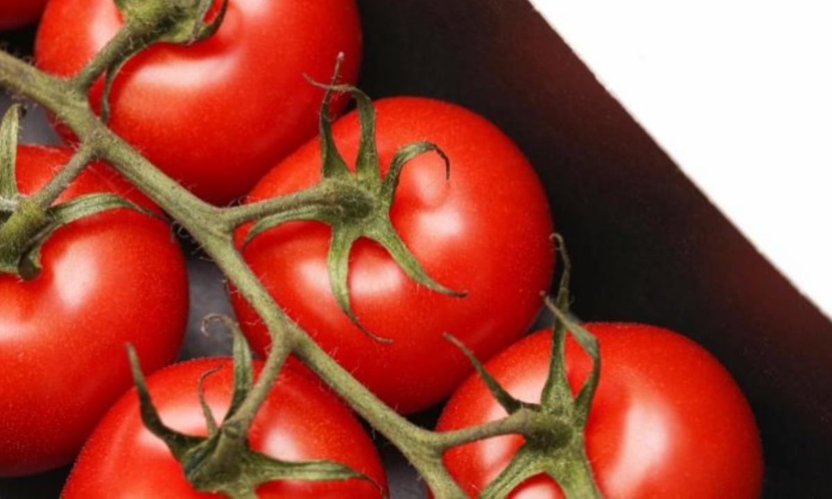 Кому с осторожностью есть помидоры