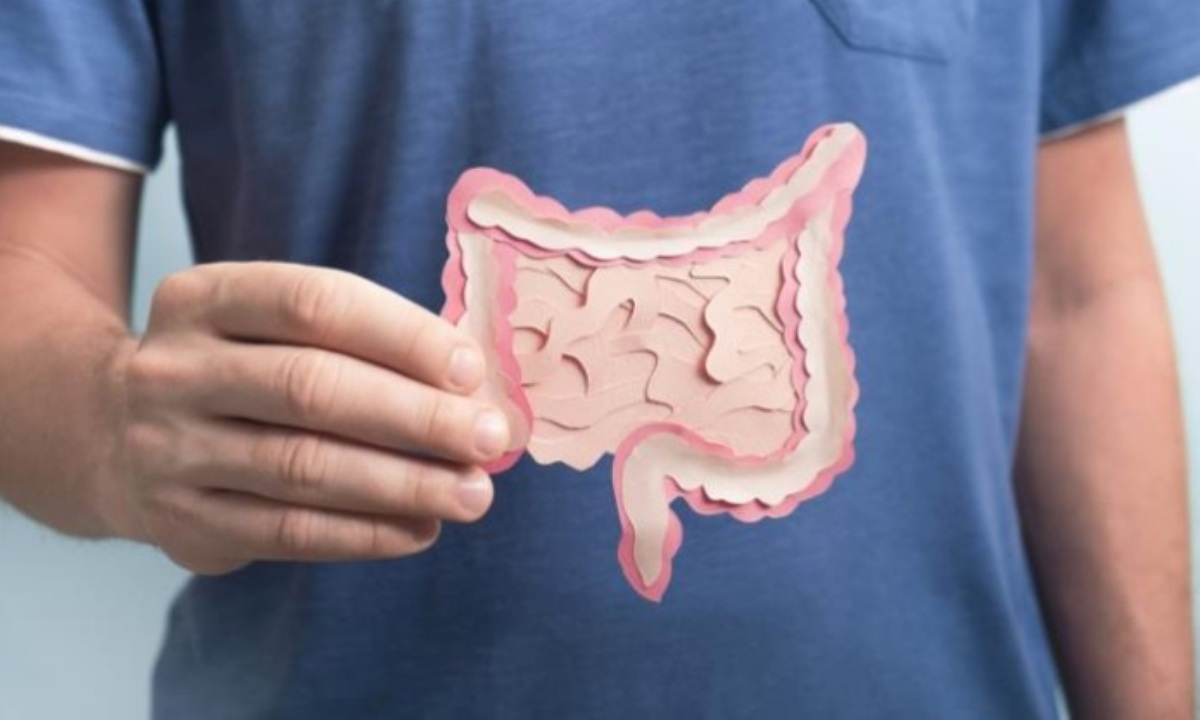 Какие продукты могут навредить здоровью кишечника