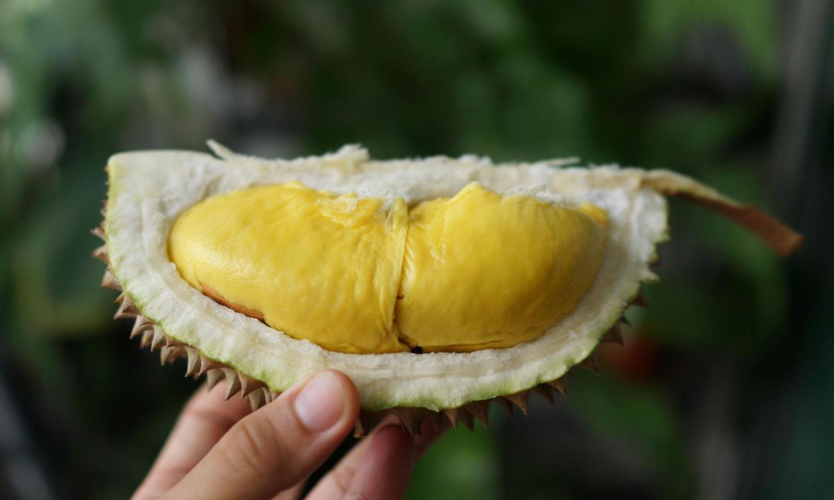 Названы фрукты, которые при переедании могут вредить печени