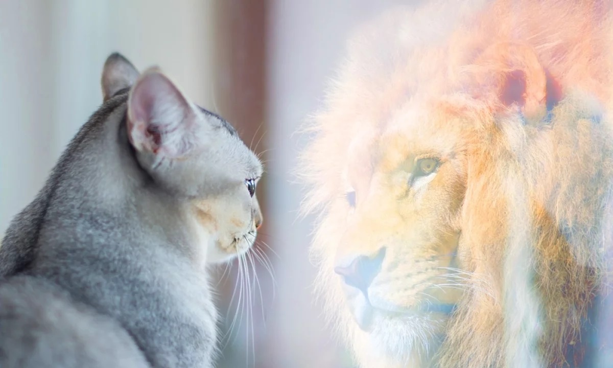 Как поменять свои установки с минуса на плюс