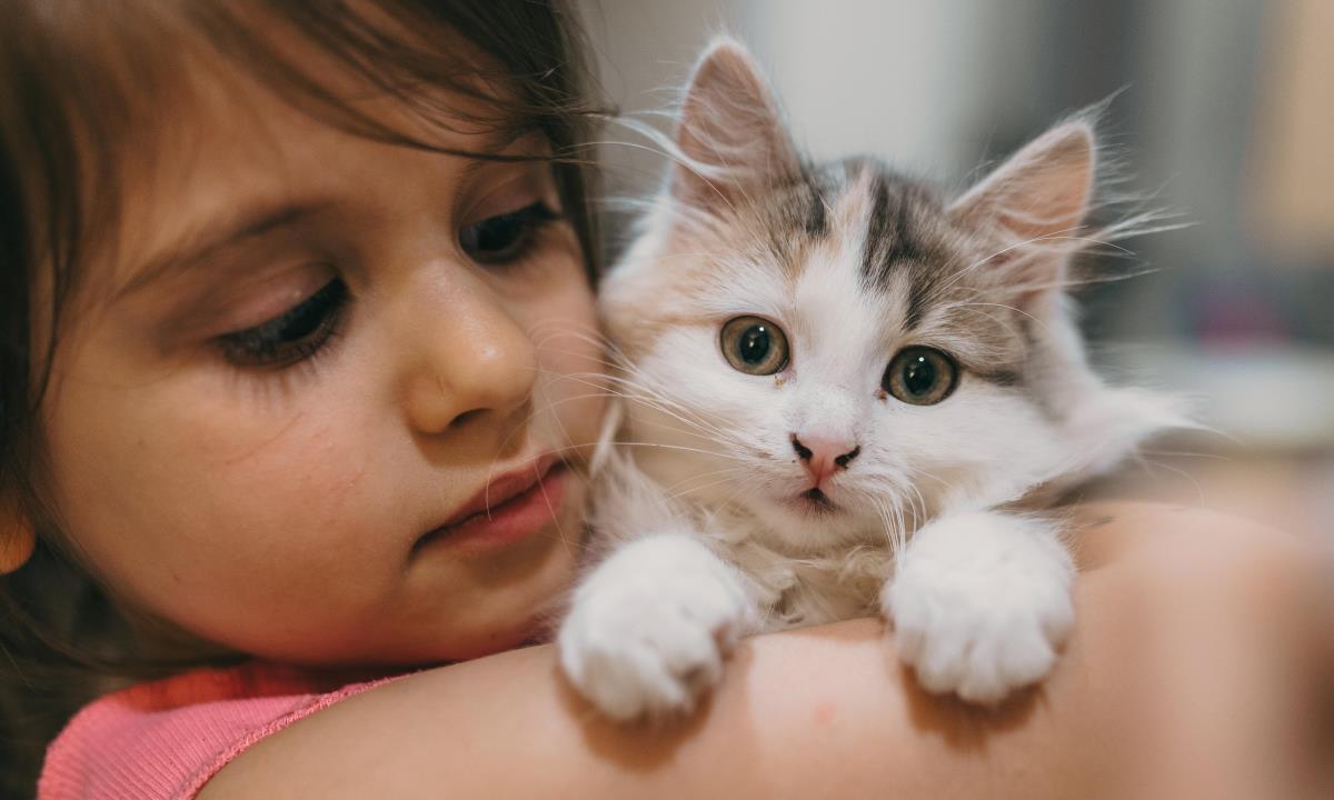 Любят ли кошки своих хозяев — неожиданные выводы ученых и реальные истории