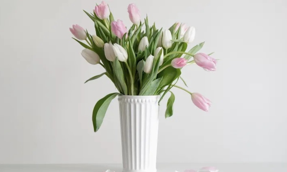 Как спасти поникшие тюльпаны