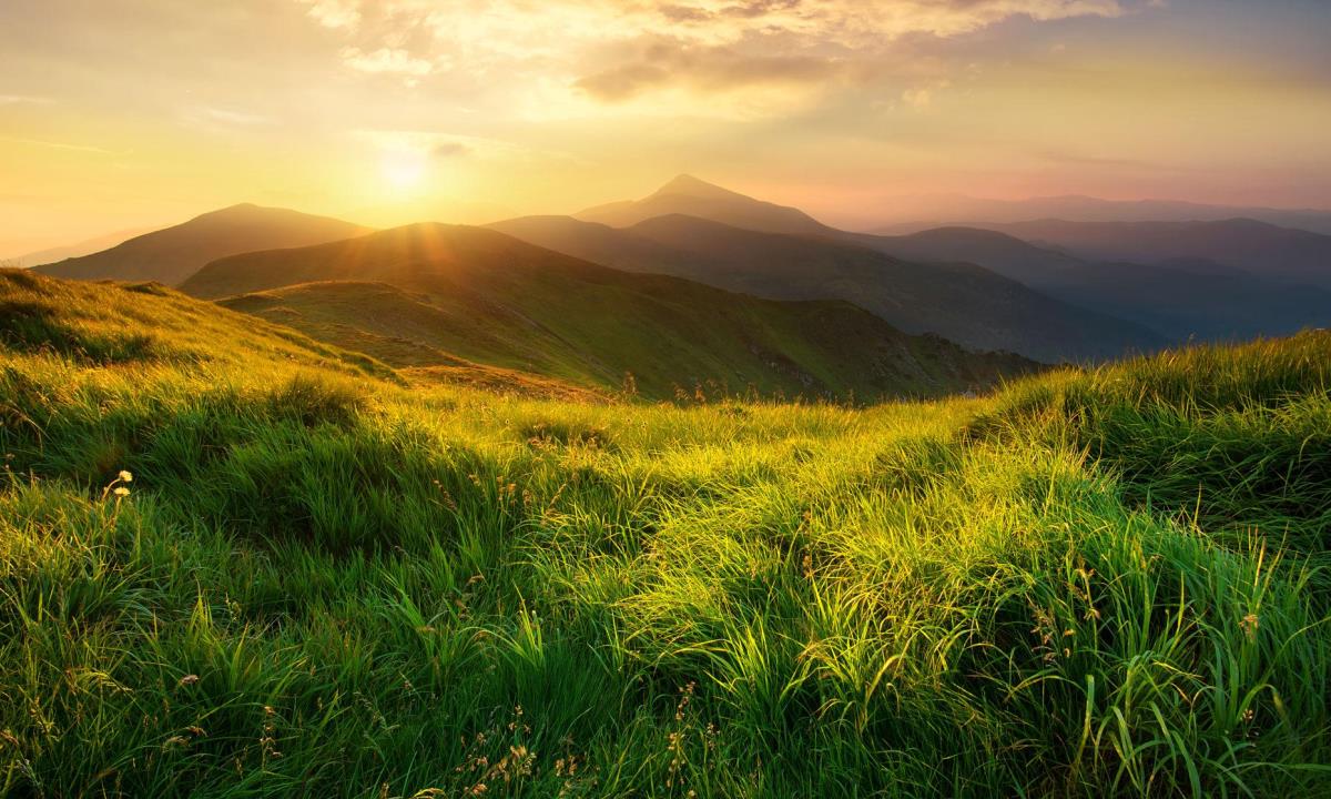 Трем знакам зодиака пообещали финансовый рост в ближайшие дни