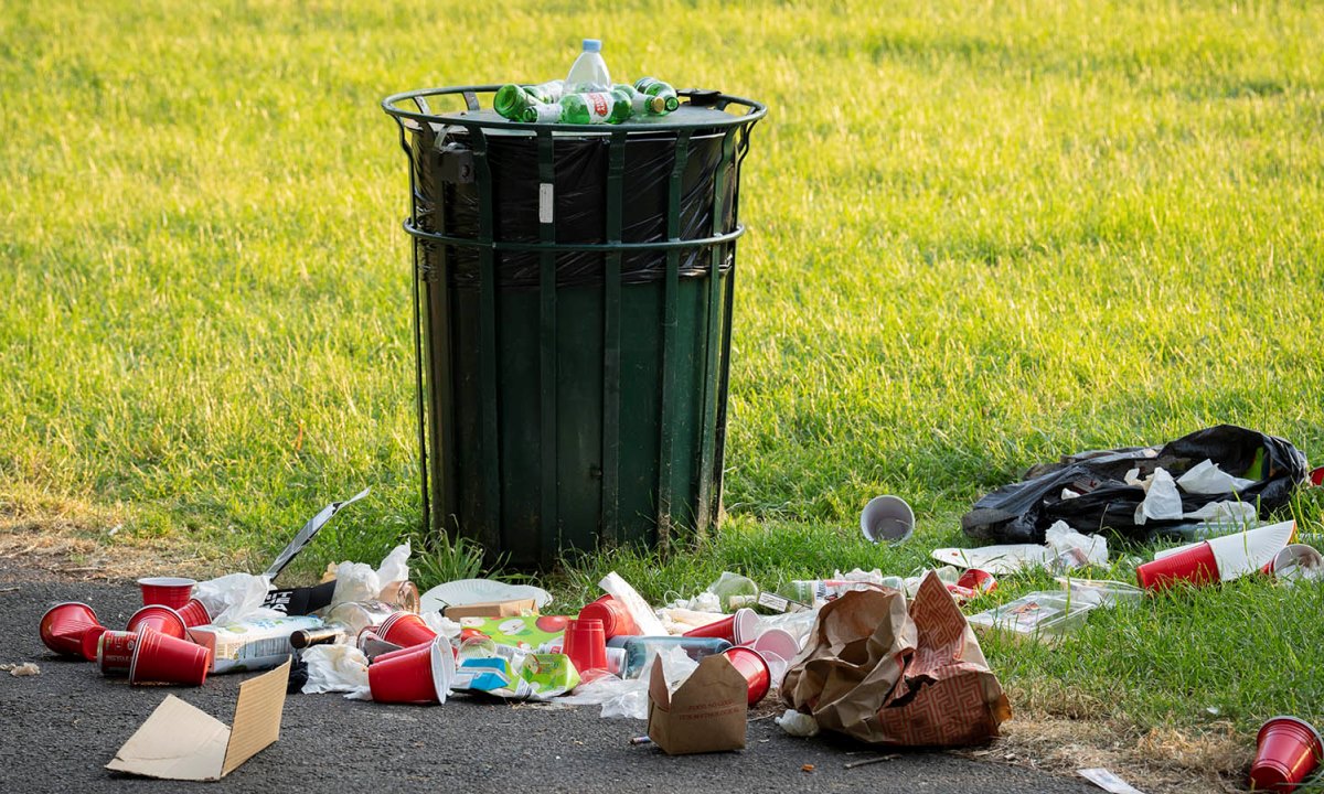 Пластик может стать лекарством — найден необычный способ переработки отходов