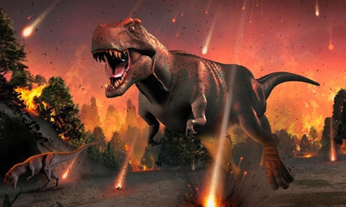 Как быстро Земля пришла в себя после исчезновения динозавров