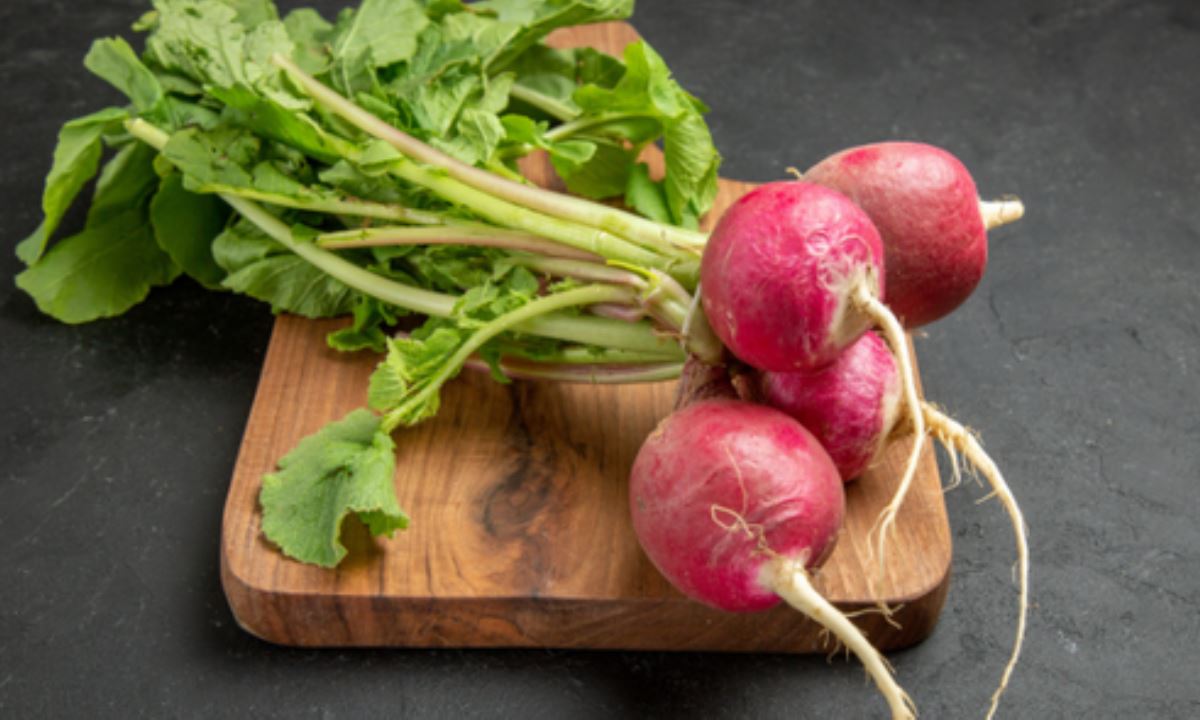 Врач рассказал о пользе редиса и возможных ограничениях