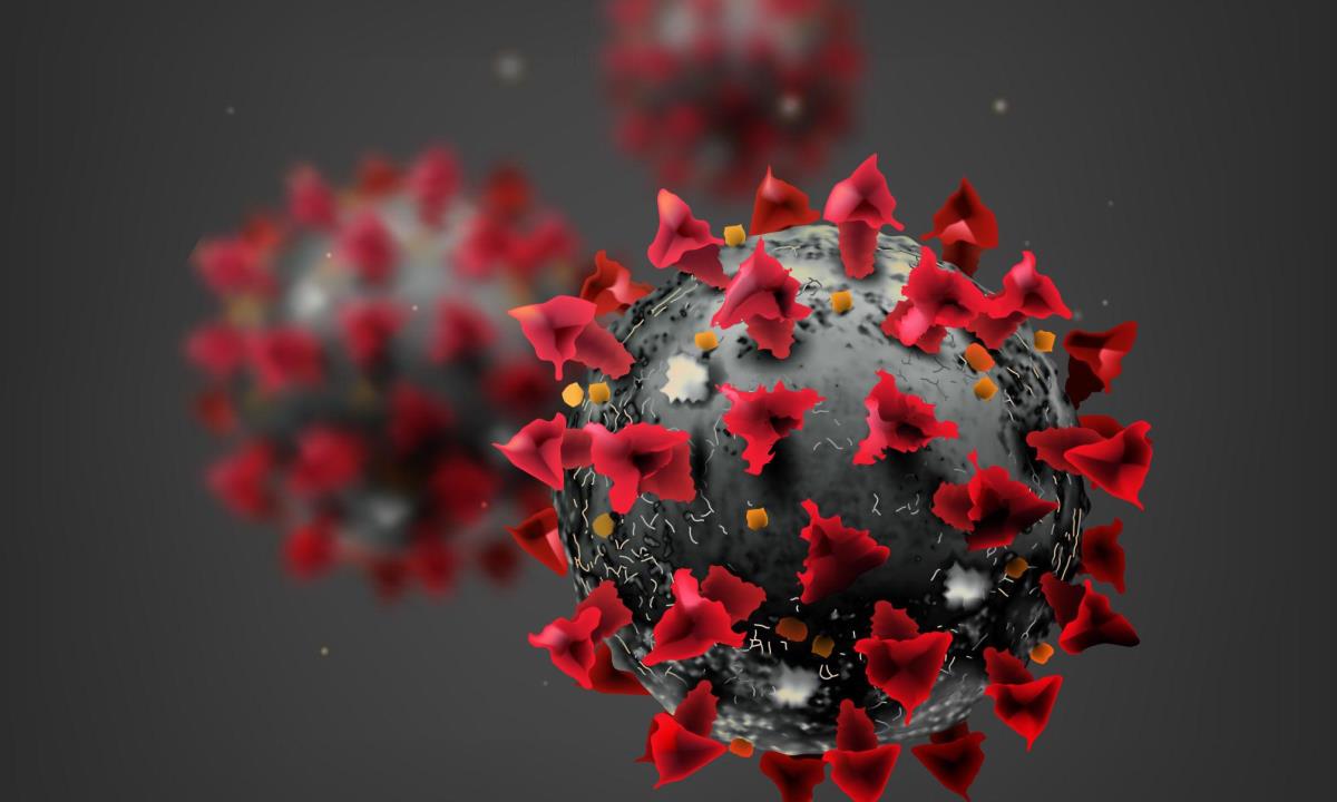 Врачи предупредили о риске появления нового неизвестного вируса