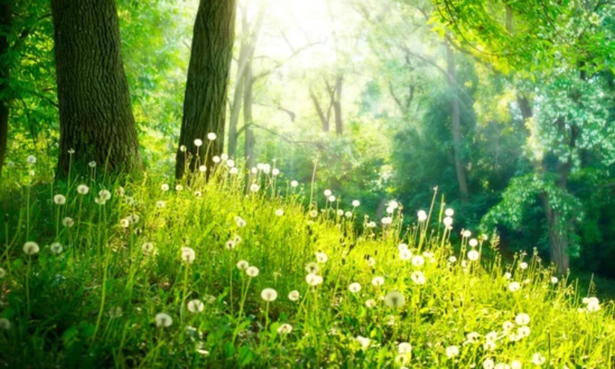 Весеннее равноденствие-2026 — почему в этот день лучше притормозить и не принимать решений