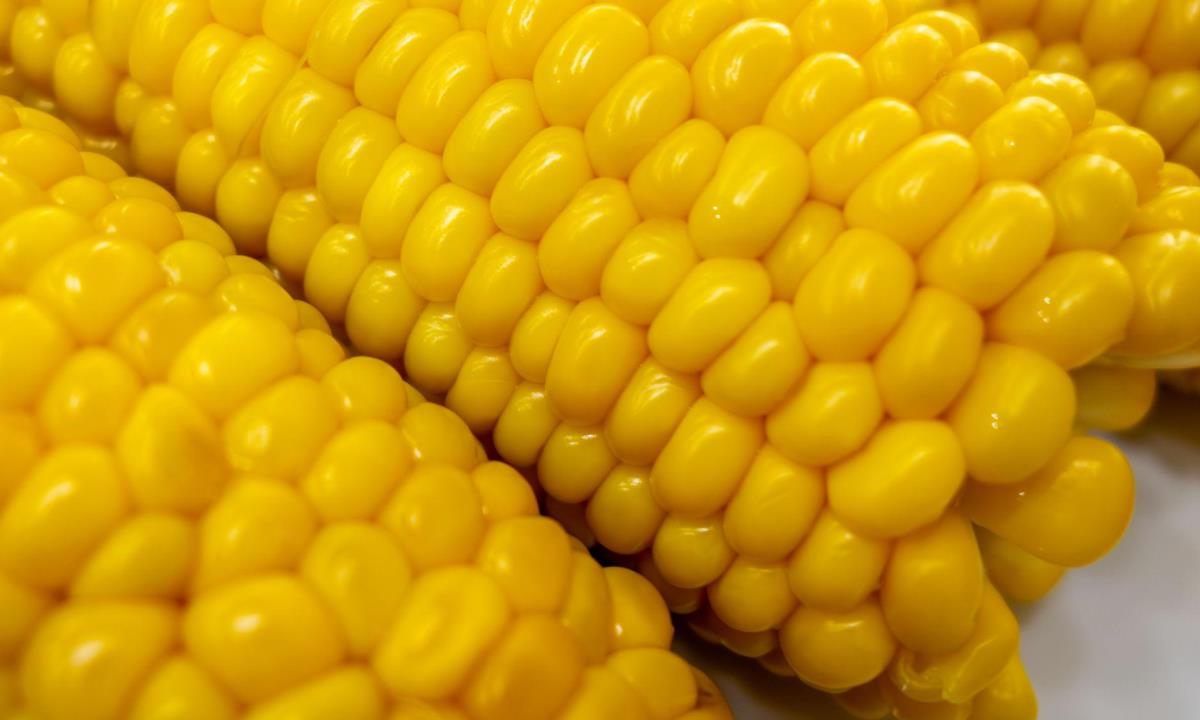 Не все овощи одинаково полезны — что не стоит есть слишком часто