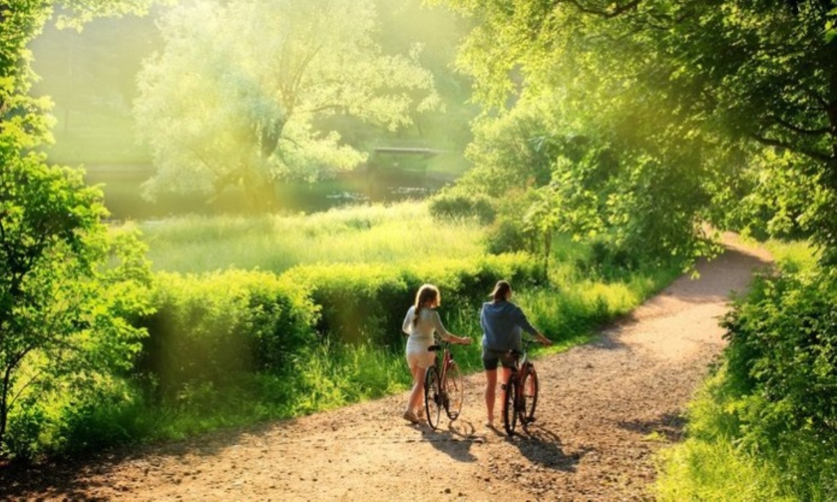 Какие бытовые привычки влияют на здоровье