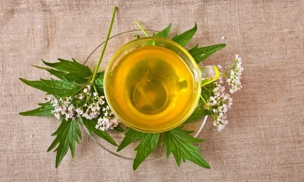 Врач назвала средство в четыре раза лучше валерьянки