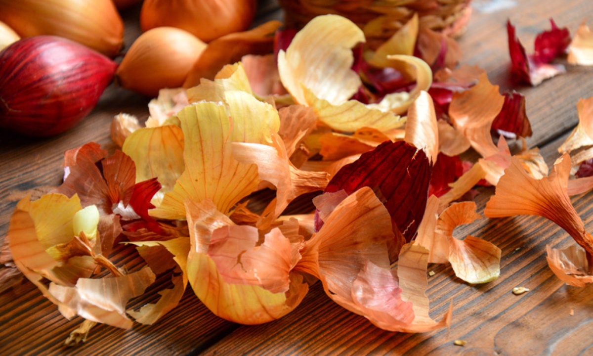 Бесплатные удобрения с кухни могут стать секретом богатого урожая