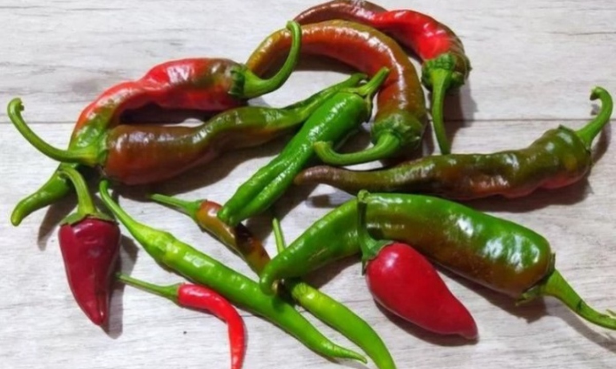 Врач предупредил о последствиях приема в пищу острого меда