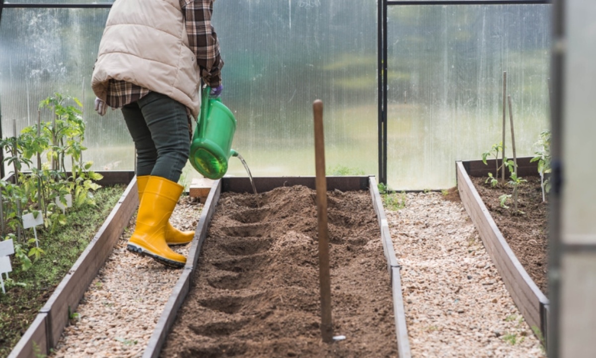 Как разбудить огород и подготовить его к весенней работе