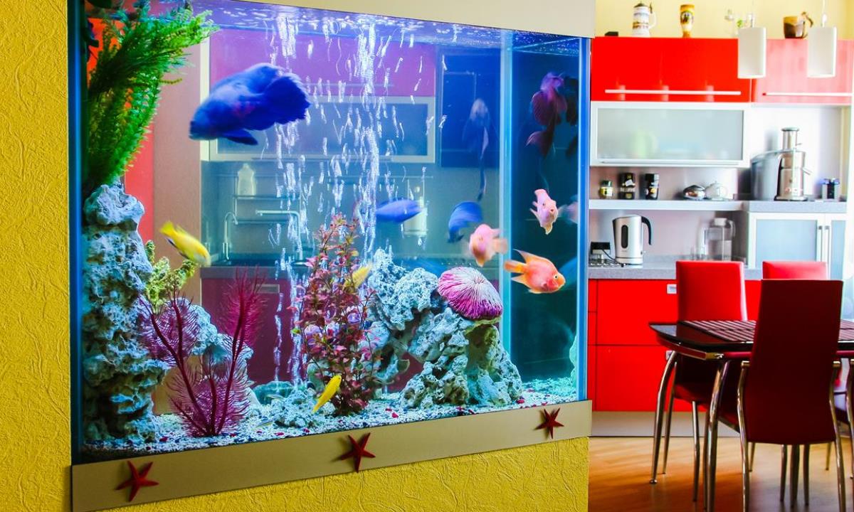 Какой питомец вам подойдет по знаку зодиака — простой гид для выбора