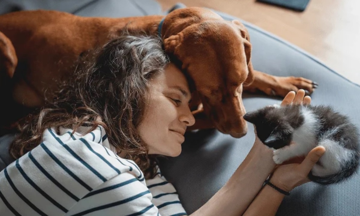 Почему пары откладывают детей и к чему это может привести