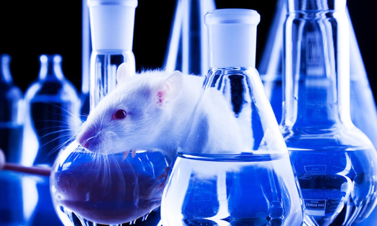 20 лет клонирования подряд — ученые выяснили пределы повторения жизни