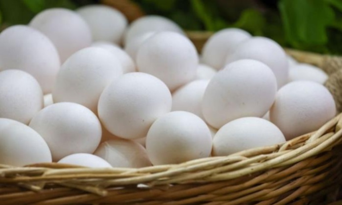 Чем полезны яйца для здоровья