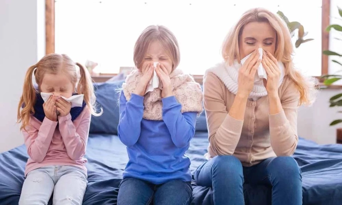 Помогает ли луковый сок от насморка?