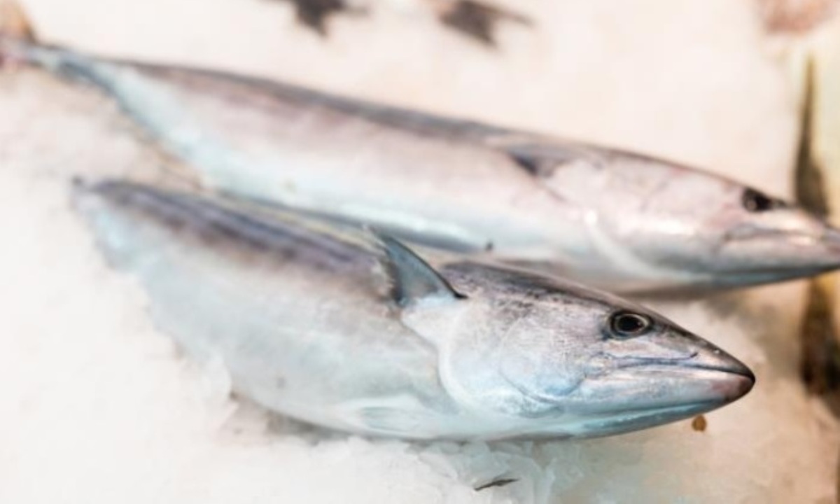 Какие продукты укрепляют память