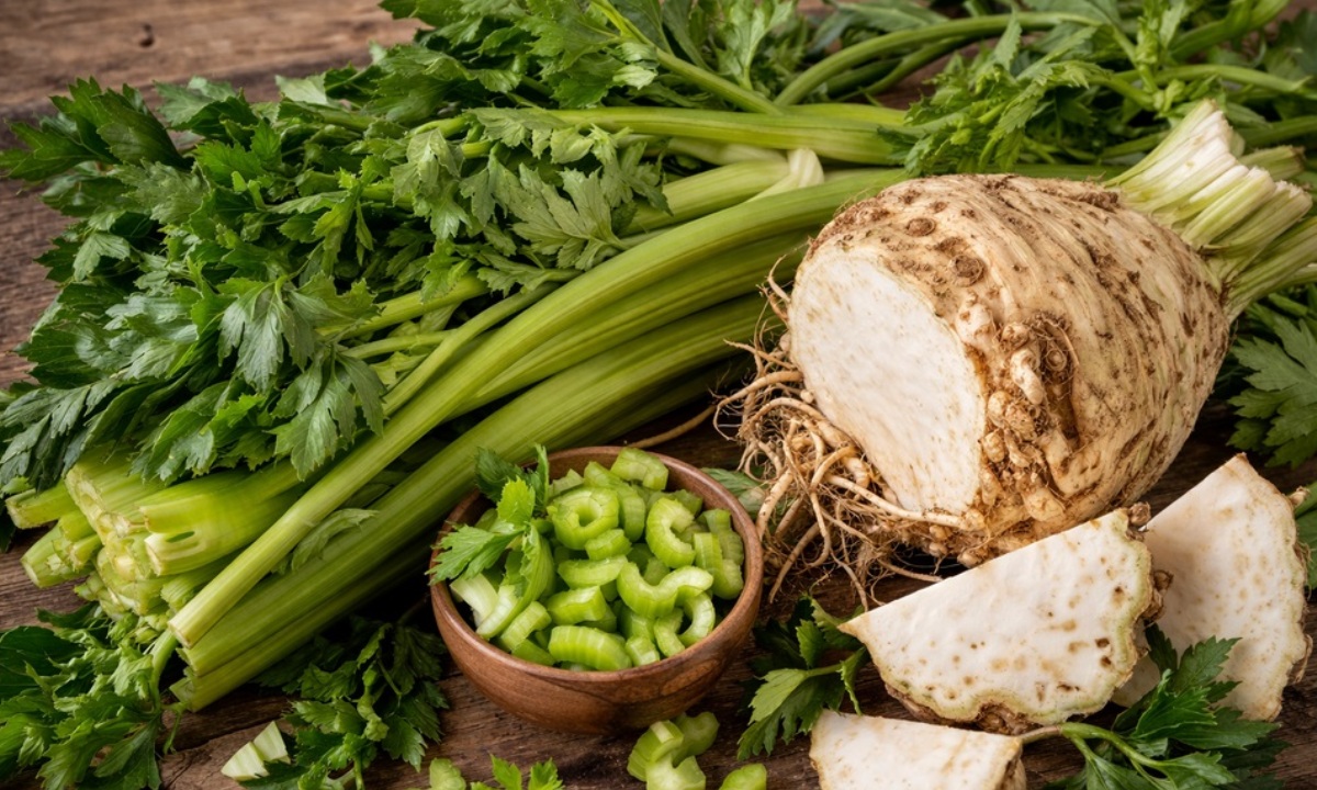 Что полезнее — стебли, трава или корень сельдерея?