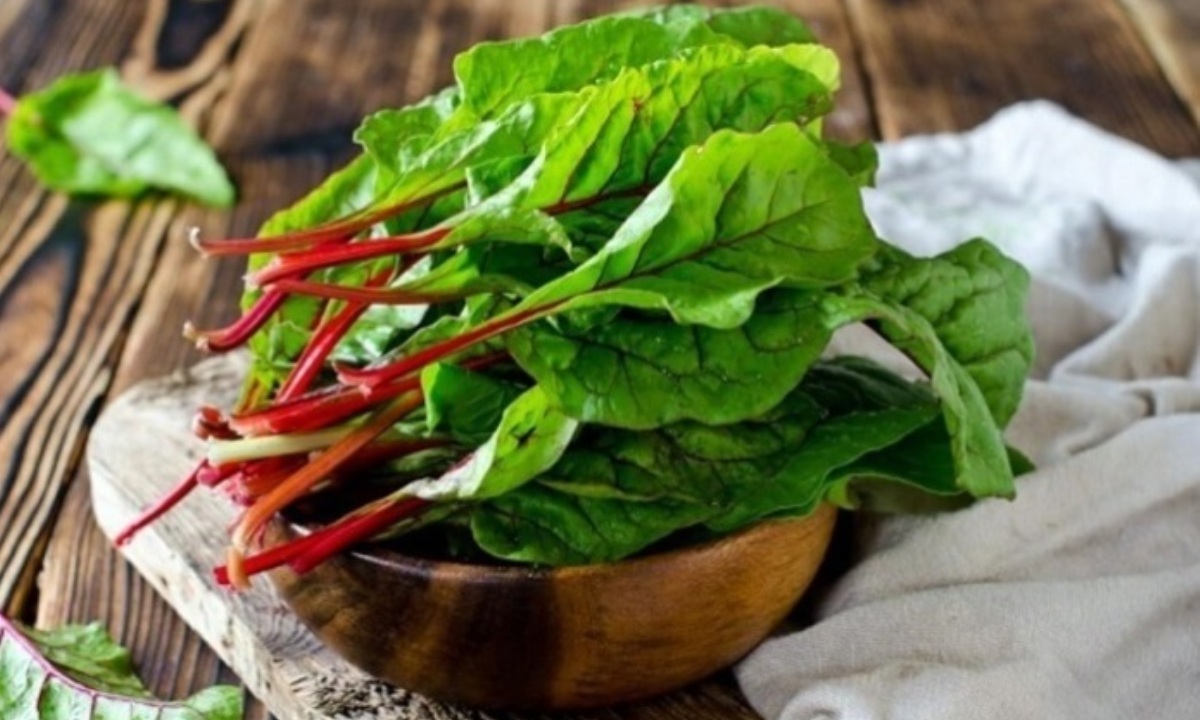 Что зря выбрасывают в мусрное ведро 