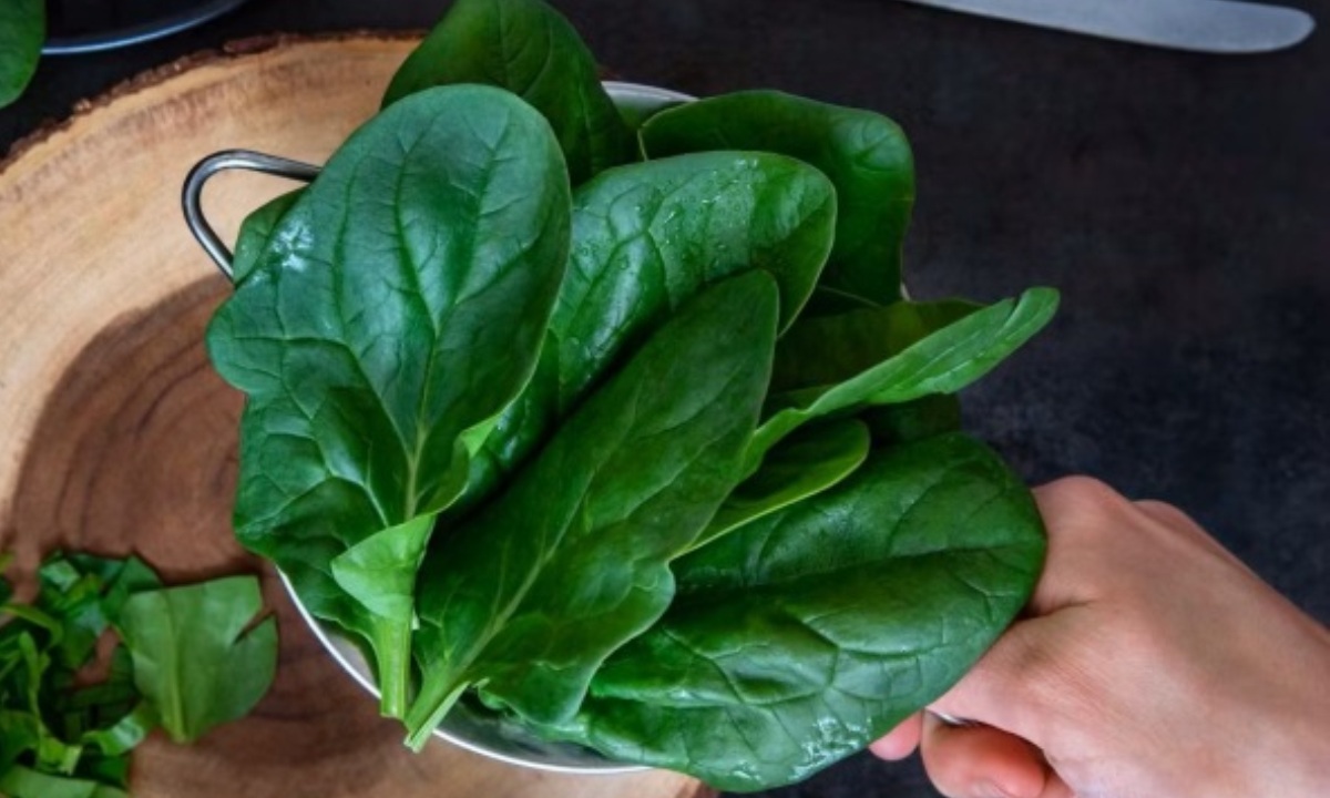 Чем может обернуться употребление шпината