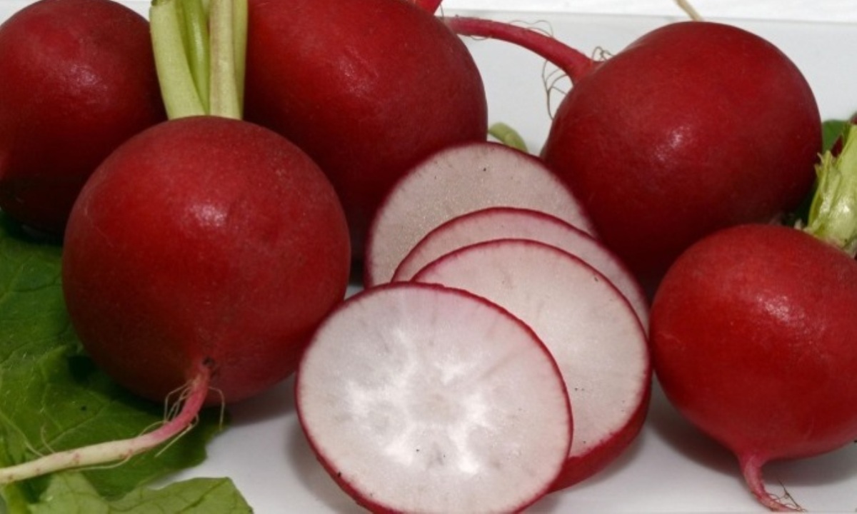 Что можно посадить на даче в апреле