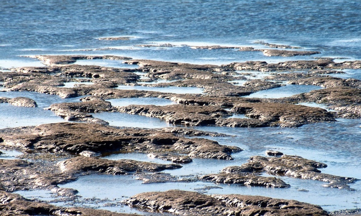 Исчезнет ли Каспий — ученые дали осторожный прогноз