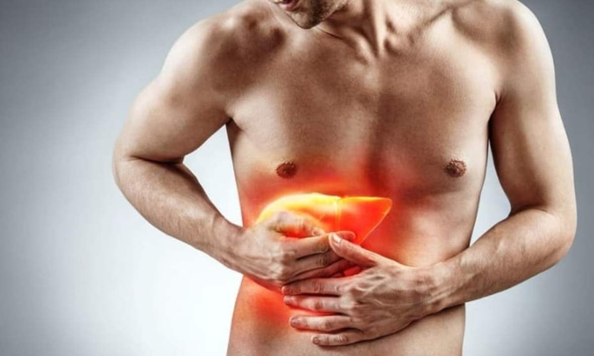 Где в организме накапливается жир и почему это опасно