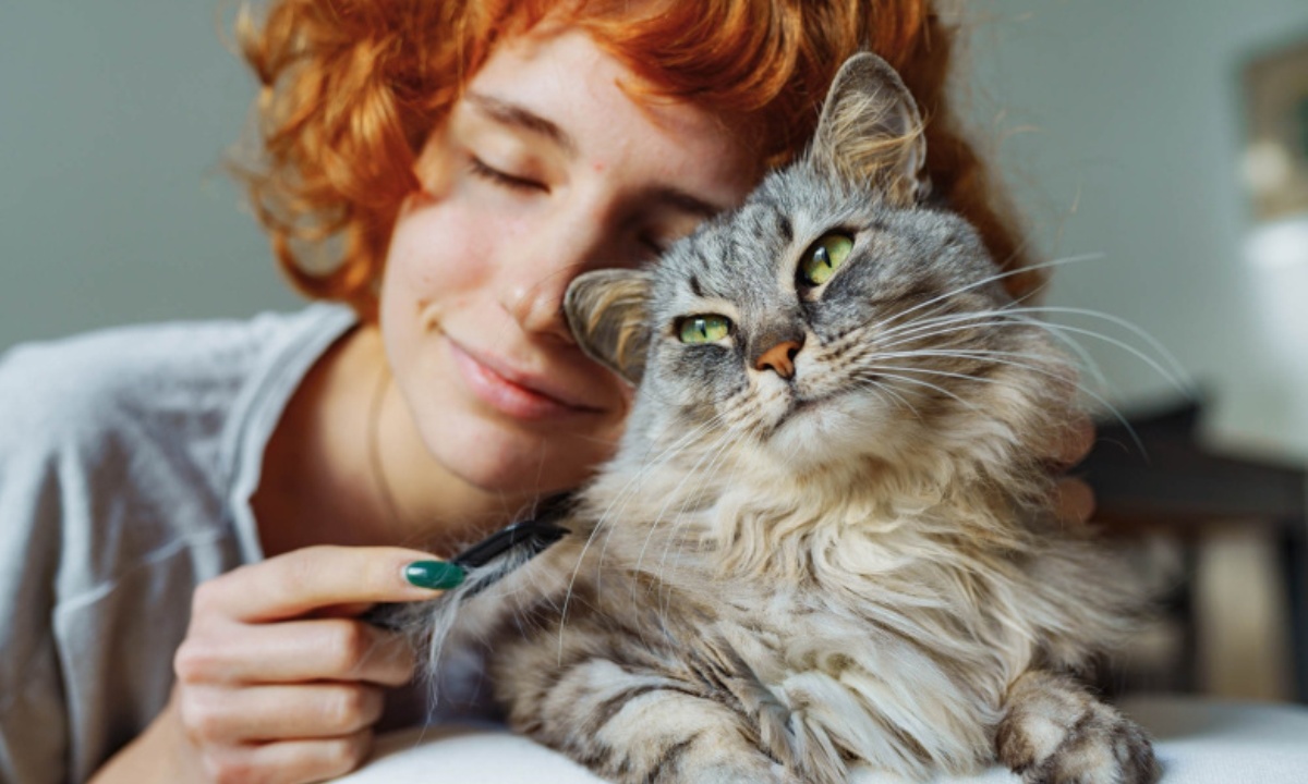 Перечислены признаки счастливой кошки