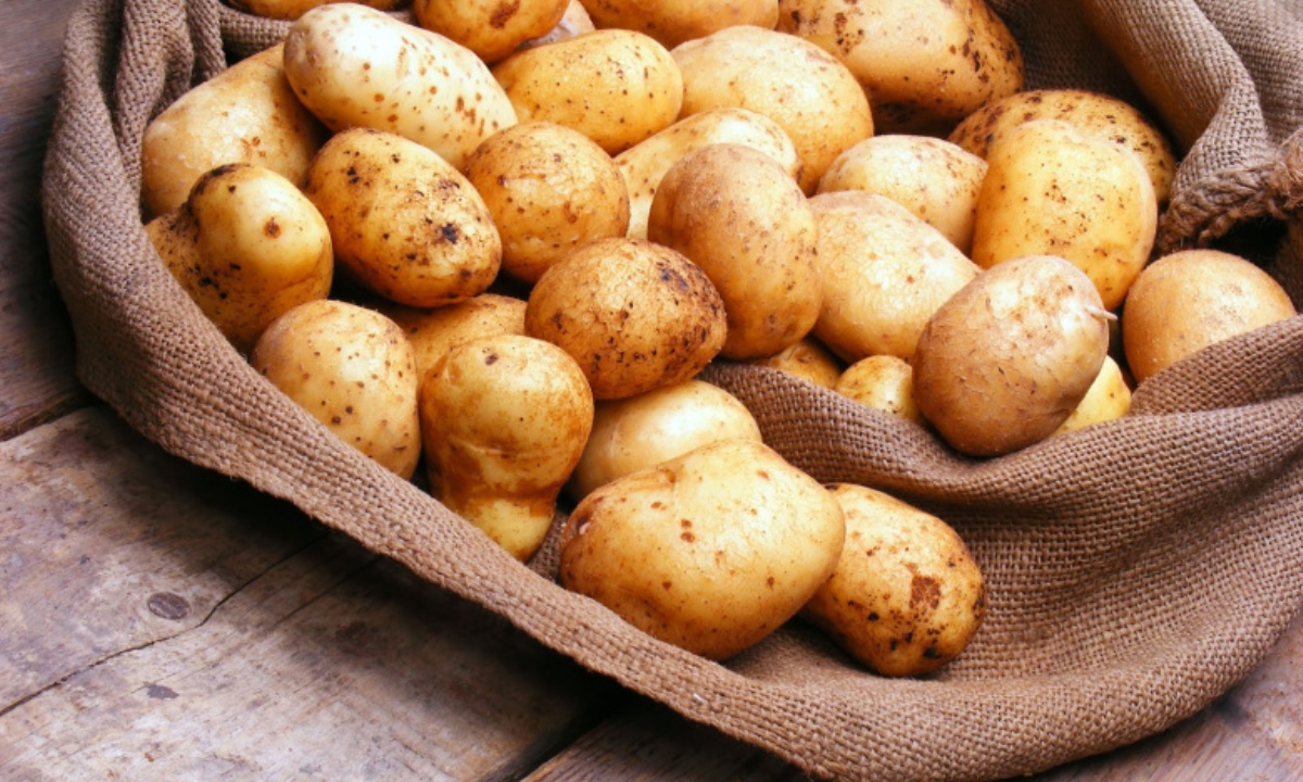 Какой невероятной пользой обладает обычная картошка