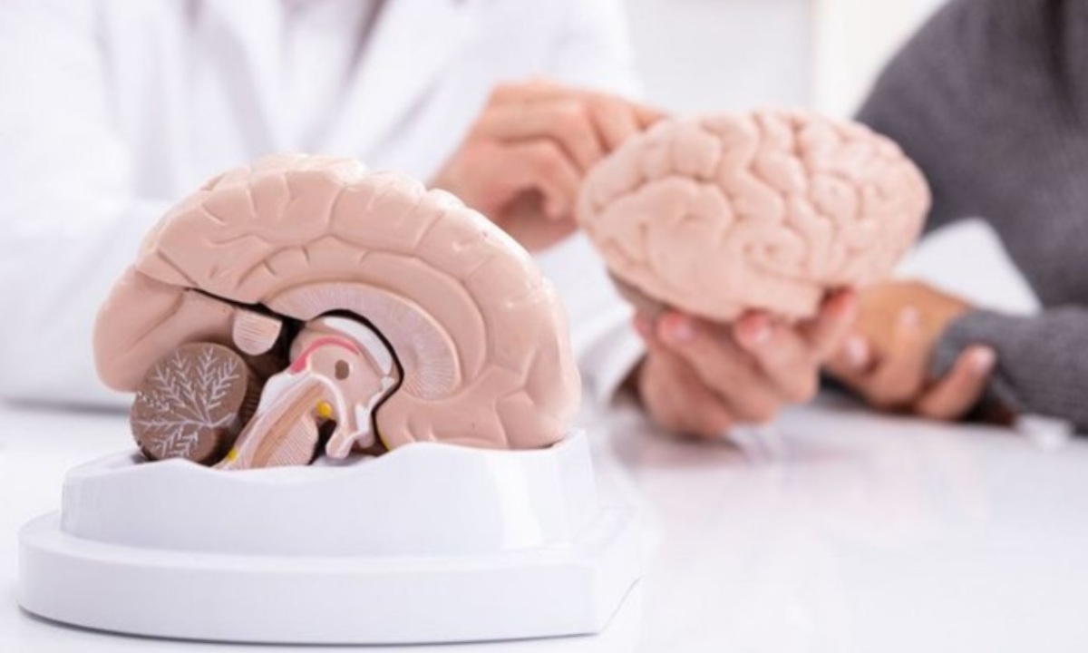 Как место жительства влияет на скорость старения мозга