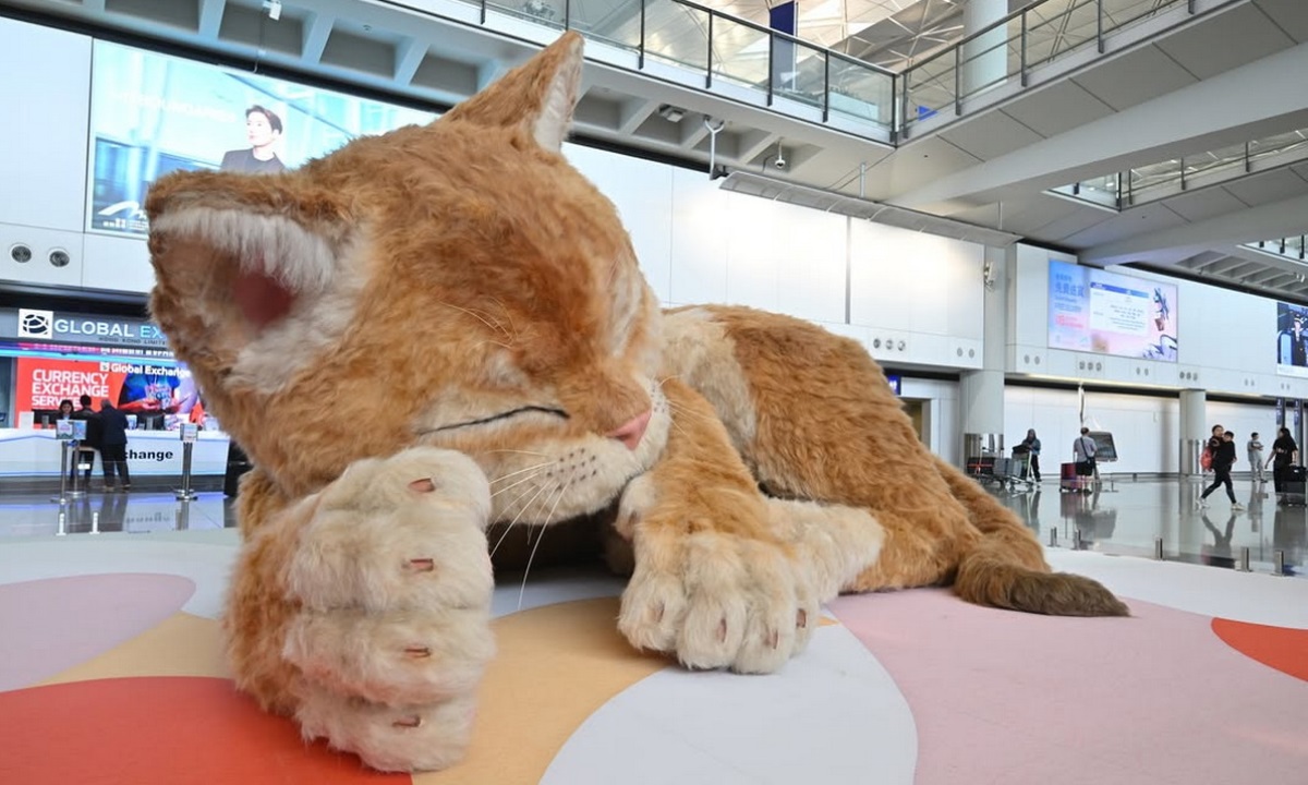 Огромный кот встречает пассажиров — необычная инсталляция появилась в аэропорту