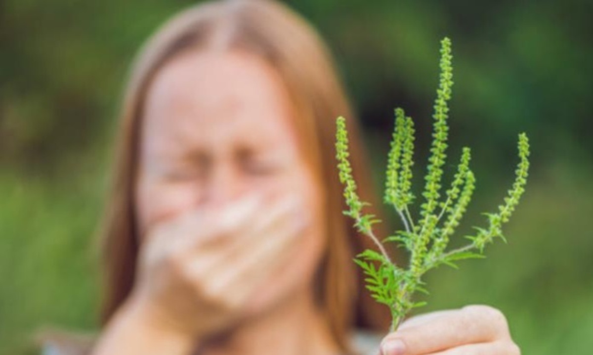 Врач опроверг связь между коронавирусом и аллергией