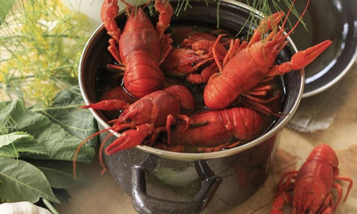 Варка заживо под вопросом — ученые требуют изменить отношение к ракообразным