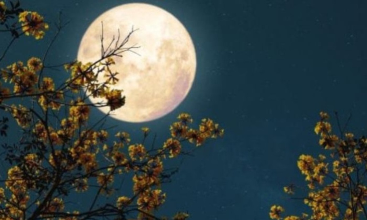 В мае случится редкое астрономическое явление