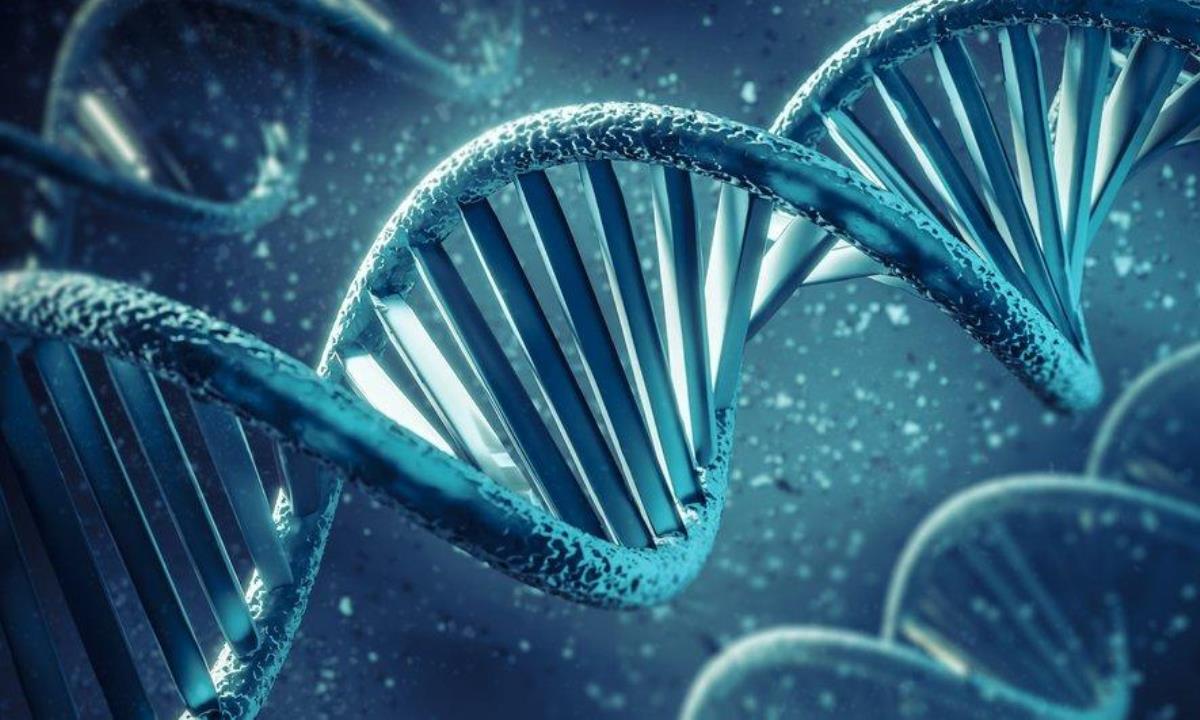 Учёные пересмотрели главную теорию долголетия — всё оказалось сложнее