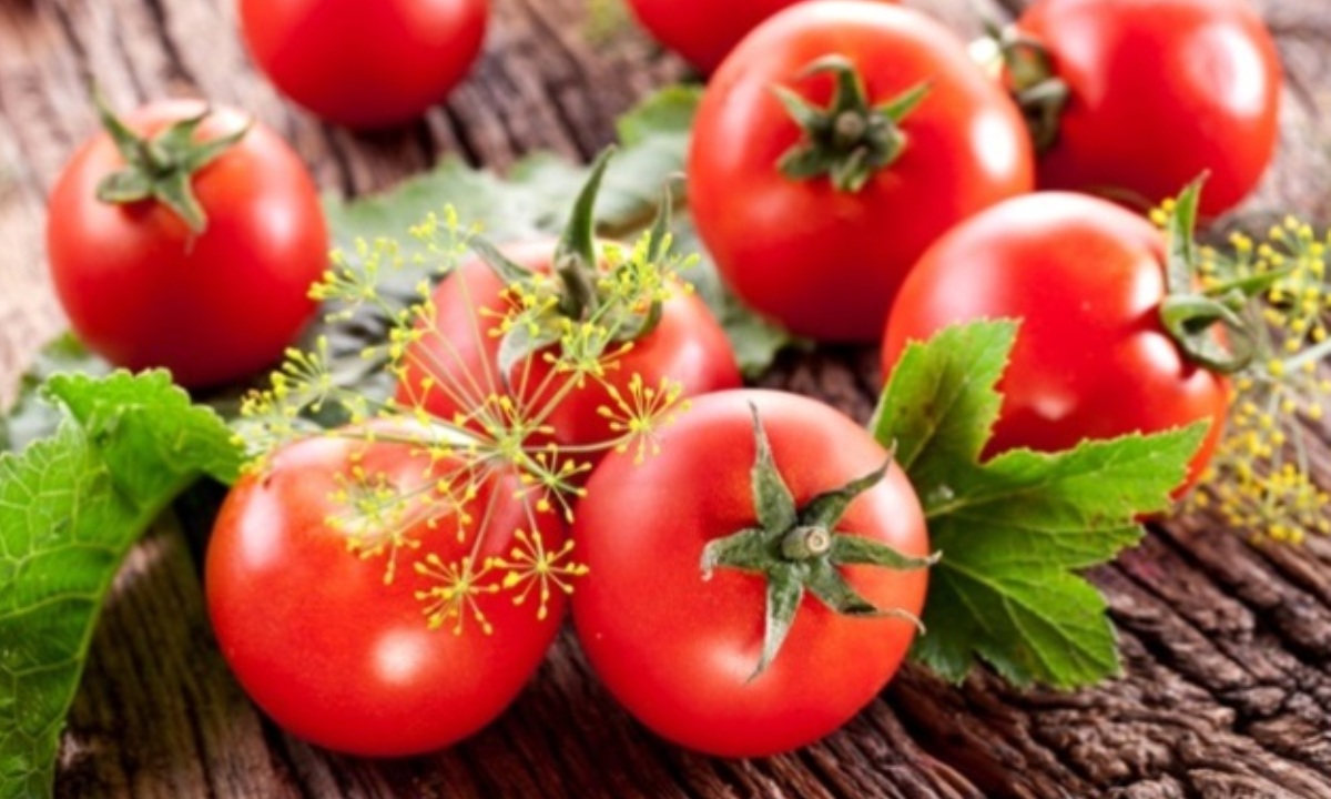 Какие сорта томатов можно вырастить в квартире на окне