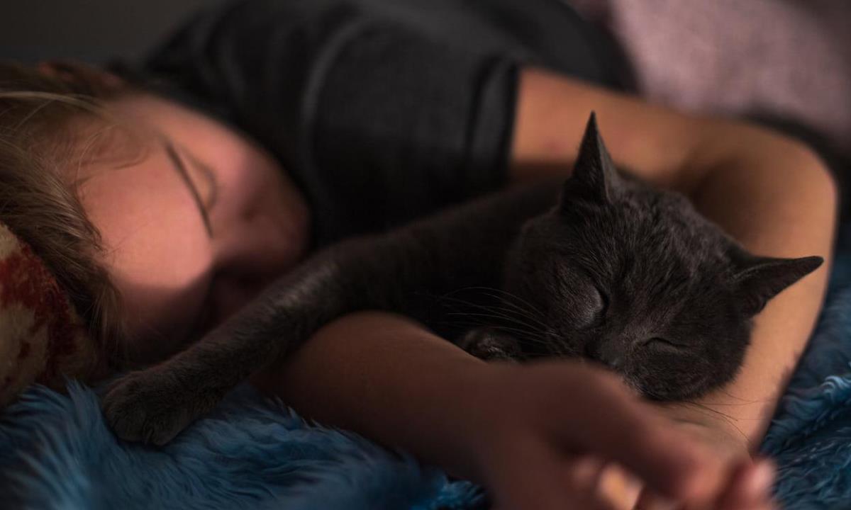 Почему кот выбирает именно вас — раскрыт неожиданный секрет питомцев