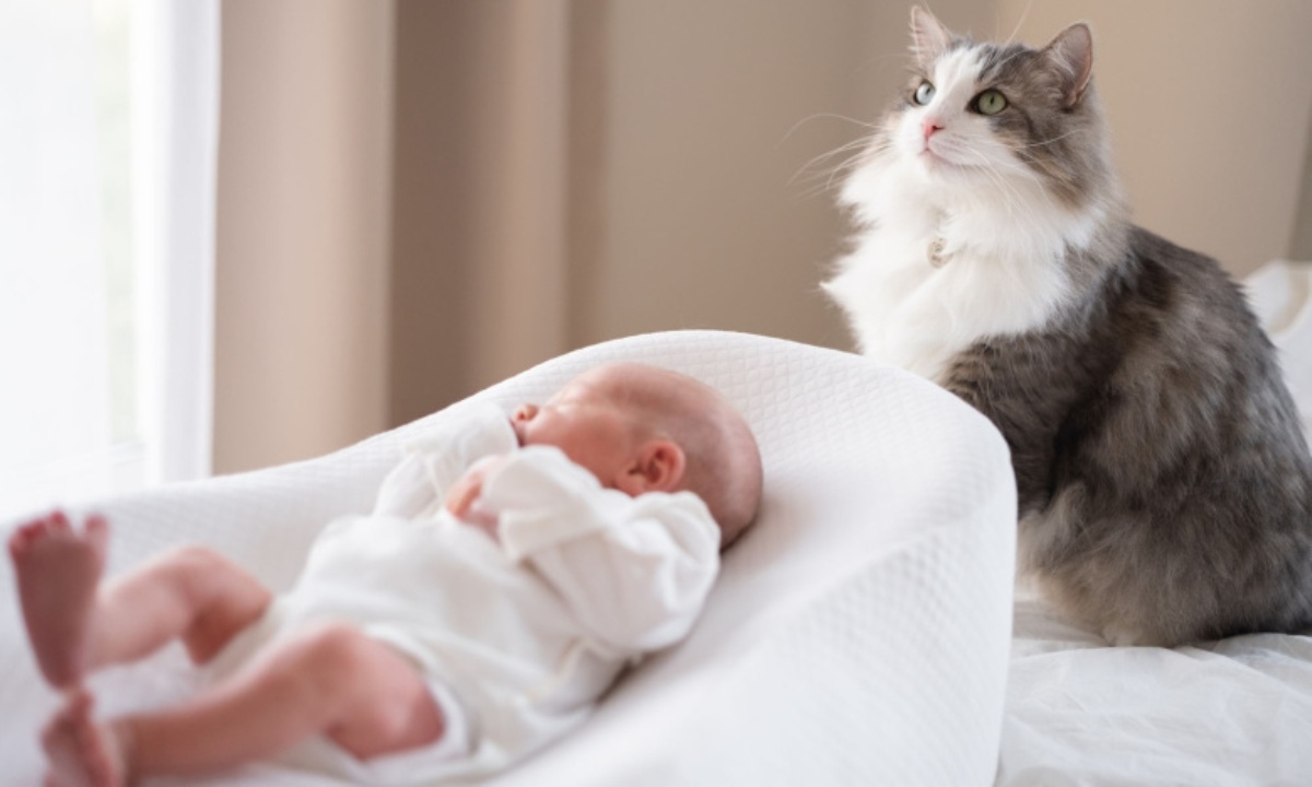 Как подготовить питомца к появлению в доме младенца