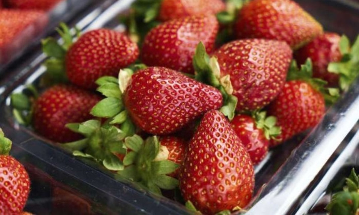 Безопасно ли есть ранние ягоды