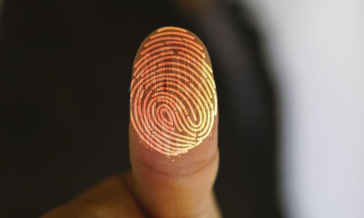 Отпечатки пальцев оказались сложнее, чем думали